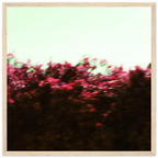 489a4213-b336-46d4-a666-bf23429453da