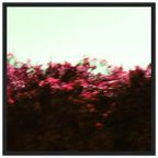 59a7fae5-5496-4f2e-b28a-be9abb091f76