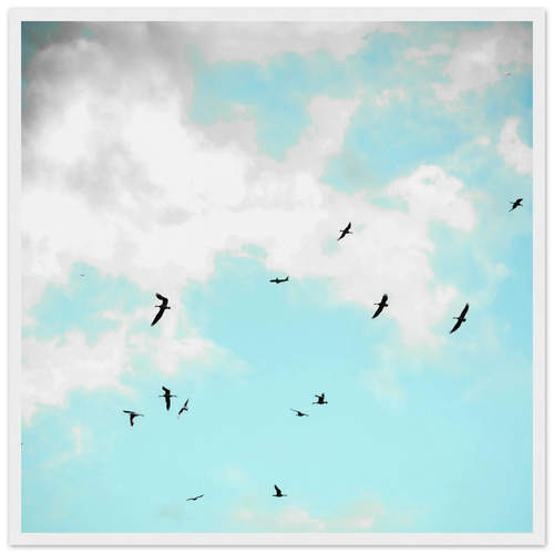 5d0d402f-0ce6-42bb-90b4-83daa112a865