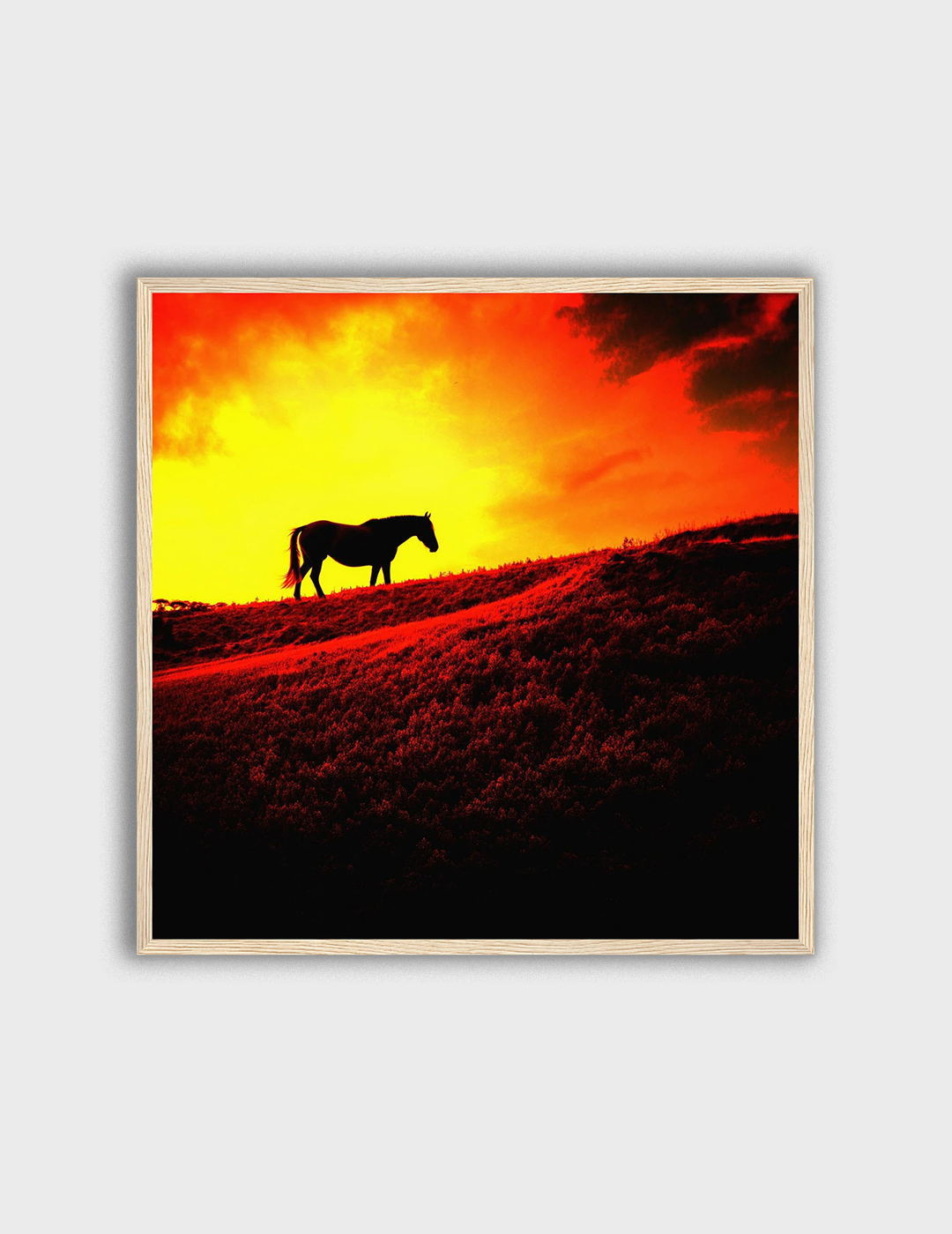 Solitude at Sunset