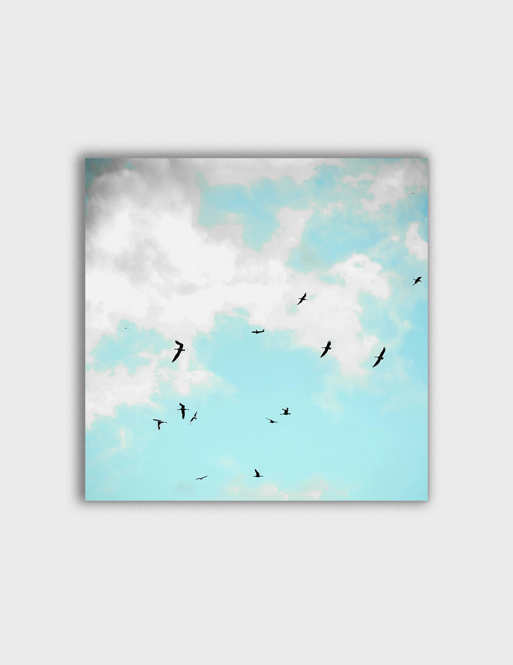 Blue Day Flight