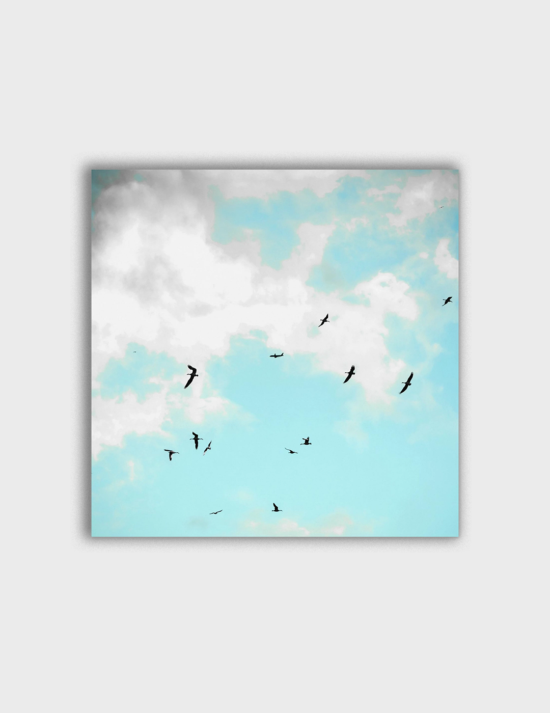 Blue Day Flight