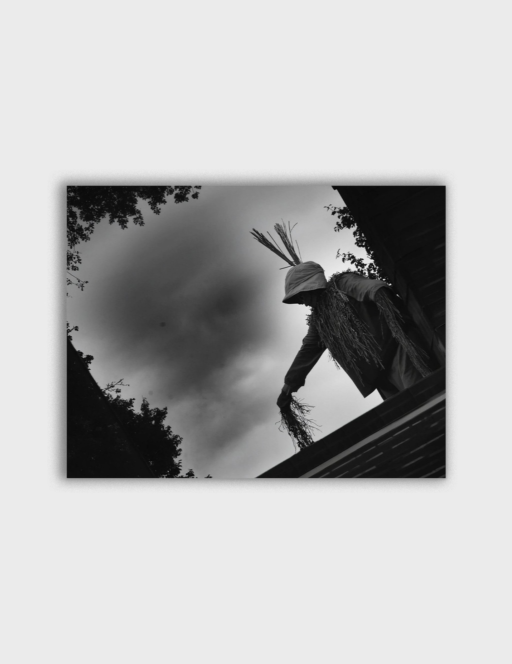 The Scarecrow