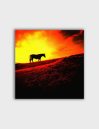 Solitude at Sunset