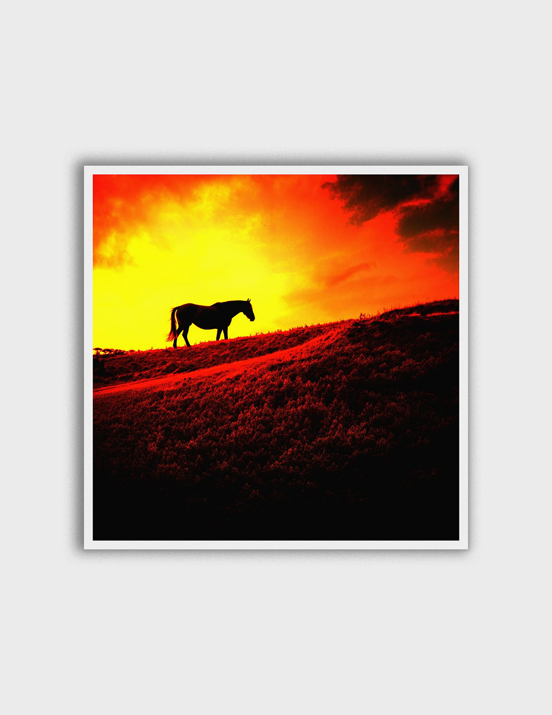 Solitude at Sunset